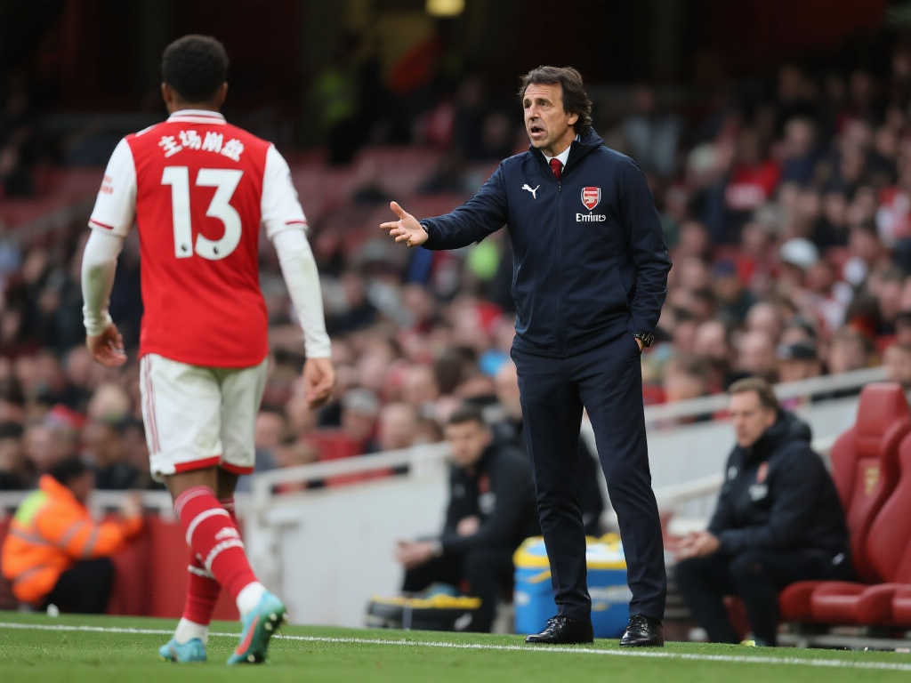 化和情感的 化和情感的