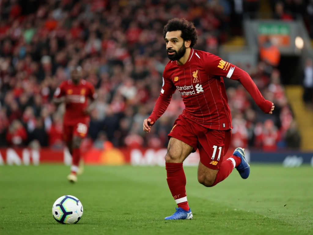 他们将有机 他们将有机